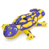 Pripučiamas salamandras plaukimui vaikams