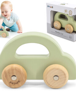 VIGA PolarB medinis stumdukas automobilis