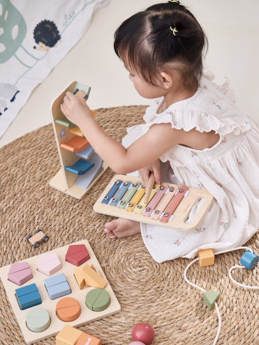 VIGA edukacinis žaislų rinkinys vaikams nuo 18 mėnesių iki 24 mėnesių