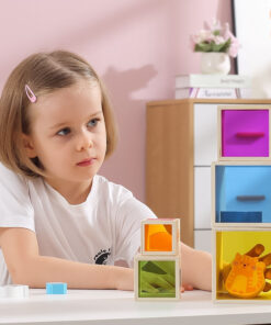 VIGA medinė piramidės formos dėlionė su kaladėlėmis – Montessori rūšiuoklis