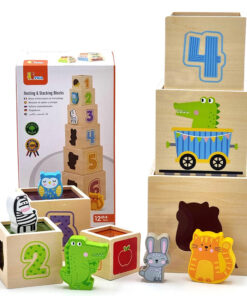 VIGA medinė piramidės formos dėlionė su kaladėlėmis – Montessori rūšiuoklis