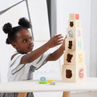 VIGA medinė piramidės formos dėlionė su kaladėlėmis – Montessori rūšiuoklis