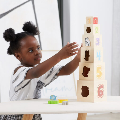 VIGA medinė piramidės formos dėlionė su kaladėlėmis – Montessori rūšiuoklis