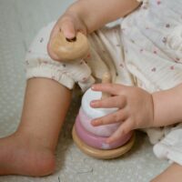 VIGA „PolarB“ medinė edukacinė piramidė – lapė