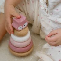 VIGA „PolarB“ medinė edukacinė piramidė – lapė