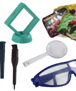 Archeologinis kasinėjimų rinkinys vaikams su vabzdžiais gintare