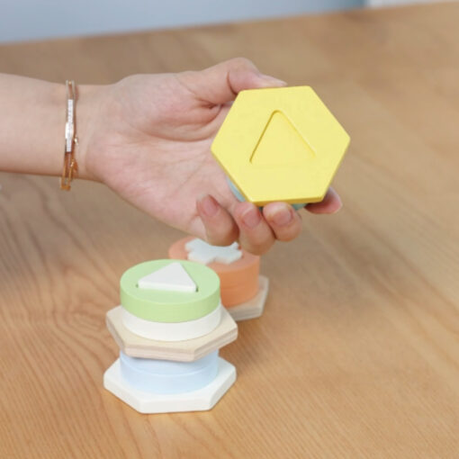 CLASSIC WORLD Montessori formų ir spalvų rūšiavimo bokštas – edukacinė dėlionė vaikams