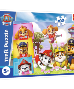 Dėlionė 100 detalių – „Drąsios mergaitės“ – Paw Patrol