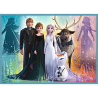 Dėlionės 4in1 „Nuostabus frozen elzų pasaulis“