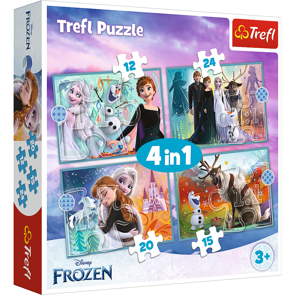 Dėlionės 4in1 „Nuostabus frozen elzų pasaulis“
