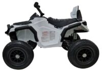 Elektrinis keturratis BMD0906 – 12V