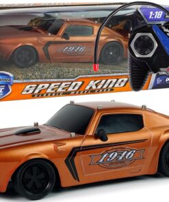 Nuotoliniu būdu valdomas sportinis automobilis 1:18 „Brown Champion Pilot“
