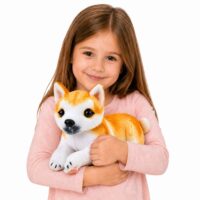 Pliušinis Shiba Inu šuniukas 25 cm