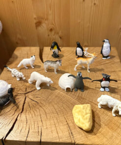 Woopie Arkties gyvūnų figūrėlių rinkinys