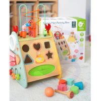 Classic World Montessori edukacinis kubas 10in1