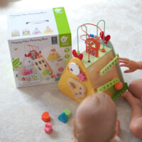 Classic World Montessori edukacinis kubas 10in1
