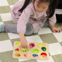 Classic World medinė Montessori vaisių dėlionė