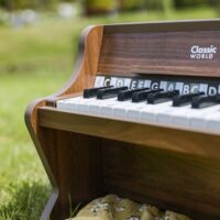 Classic World medinis pianinas „Classic Modern Natural“ su natų knygele