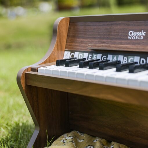 Classic World medinis pianinas „Classic Modern Natural“ su natų knygele
