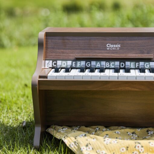 Classic World medinis pianinas „Classic Modern Natural“ su natų knygele