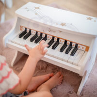 Classic World medinis pianinas „Fantasy“ su 25 klavišais
