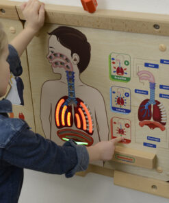 Masterkidz interaktyvi edukacinė lenta „Kvėpavimo sistema“ su šviesos efektais