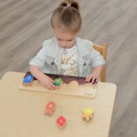 Masterkidz medinė daržovių rūšiavimo lenta (mokymasis skaičiuoti 1–5)