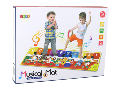 įrašymo funkcija ir klavišais