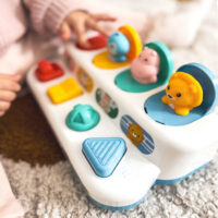 Woopie Baby edukacinė „Pop‑Up“ iššokančių gyvūnėlių dėžutė