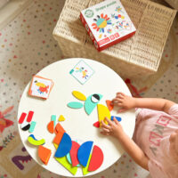 Woopie Montessori medinė dėlionė „Smegenų treniruotė“ – 55 el.