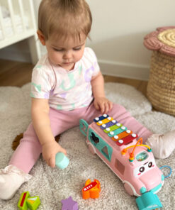 Woopie rožinis muzikinis automobilis–sorteris su cimbolais 3in1