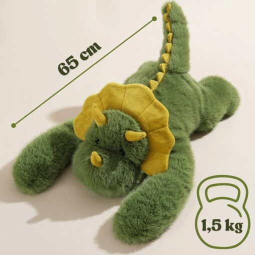 5 kg
