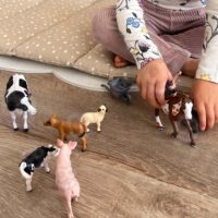 Woopie „Laiminga ferma“ – realistinių ūkio gyvūnų figūrėlių rinkinys