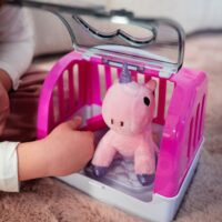 Woopie „Pet House“ nešiojamas namelis su pliušiniu vienaragiu