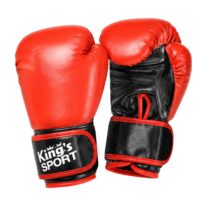 2-in-1 bokso rinkinys su pirštinėmis ir Muay Thai treniruočių pagalvėle