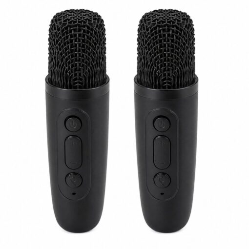 K12 belaidė karaoke sistema – garsiakalbis + 2 mikrofonai