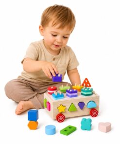 Medinis Montessori rūšiuotuvas ant ratukų