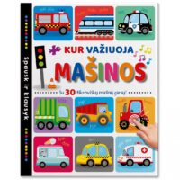 Spausk ir klausyk. KUR VAŽIUOJA MAŠINOS. 30 garsų