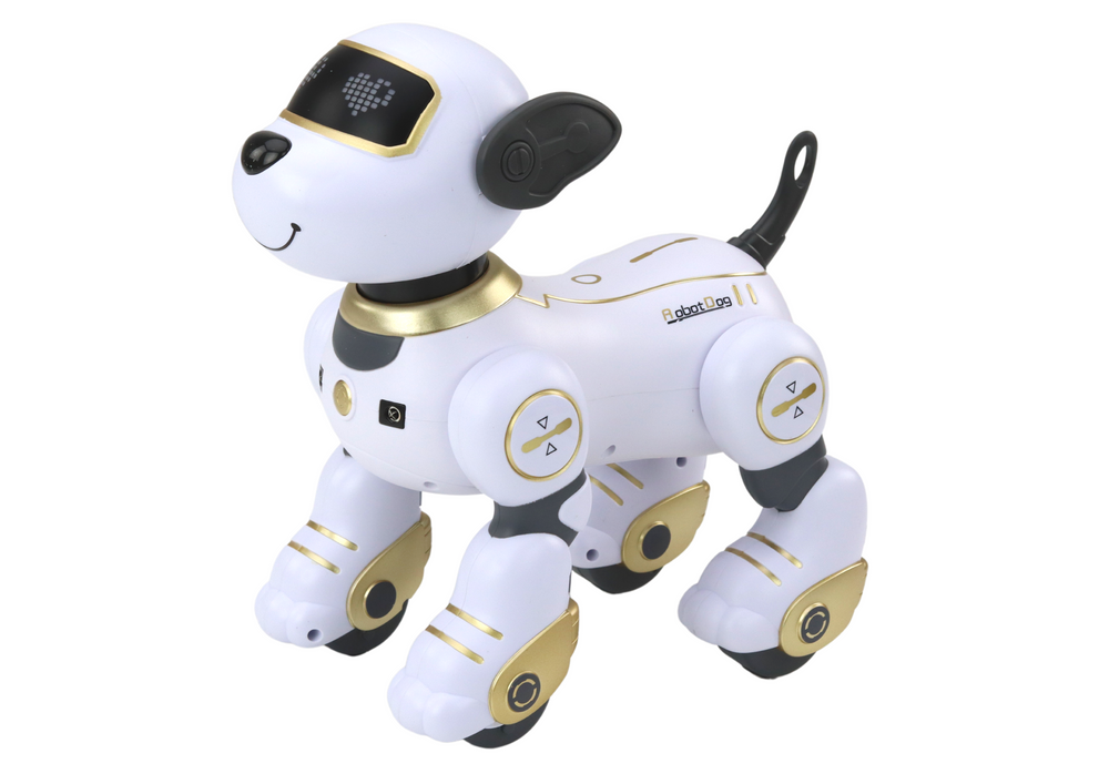 Interaktiivne puldiga juhitav robotkoer