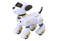 Interaktyvus nuotoliniu valdomas robotas–šuo