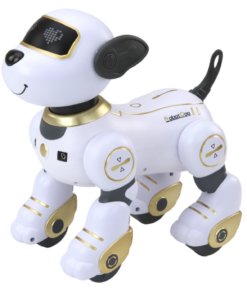 Interaktyvus nuotoliniu valdomas robotas–šuo