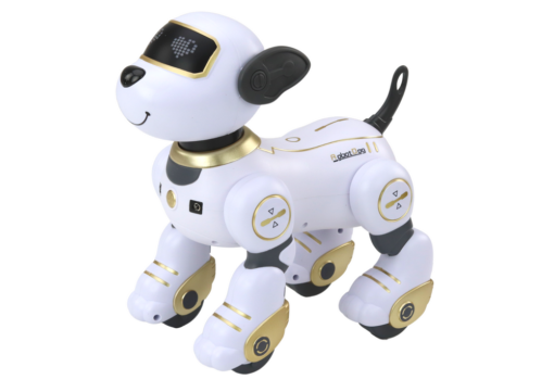 Interaktyvus nuotoliniu valdomas robotas–šuo