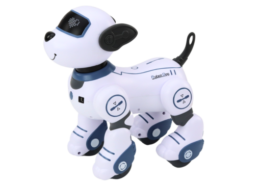 Interaktyvus nuotoliniu valdomas robotas–šuo