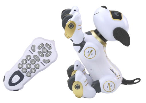 Interaktyvus nuotoliniu valdomas robotas–šuo