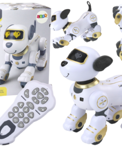 Interaktyvus nuotoliniu valdomas robotas–šuo