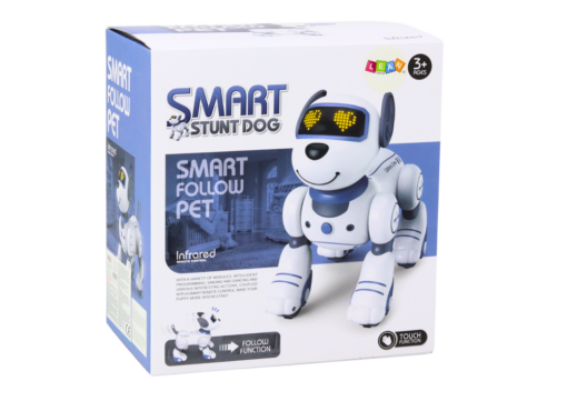 Interaktyvus nuotoliniu valdomas robotas–šuo