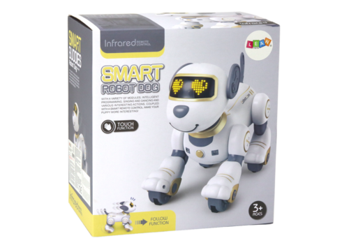 Interaktyvus nuotoliniu valdomas robotas–šuo