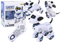 Interaktyvus nuotoliniu valdomas robotas–šuo