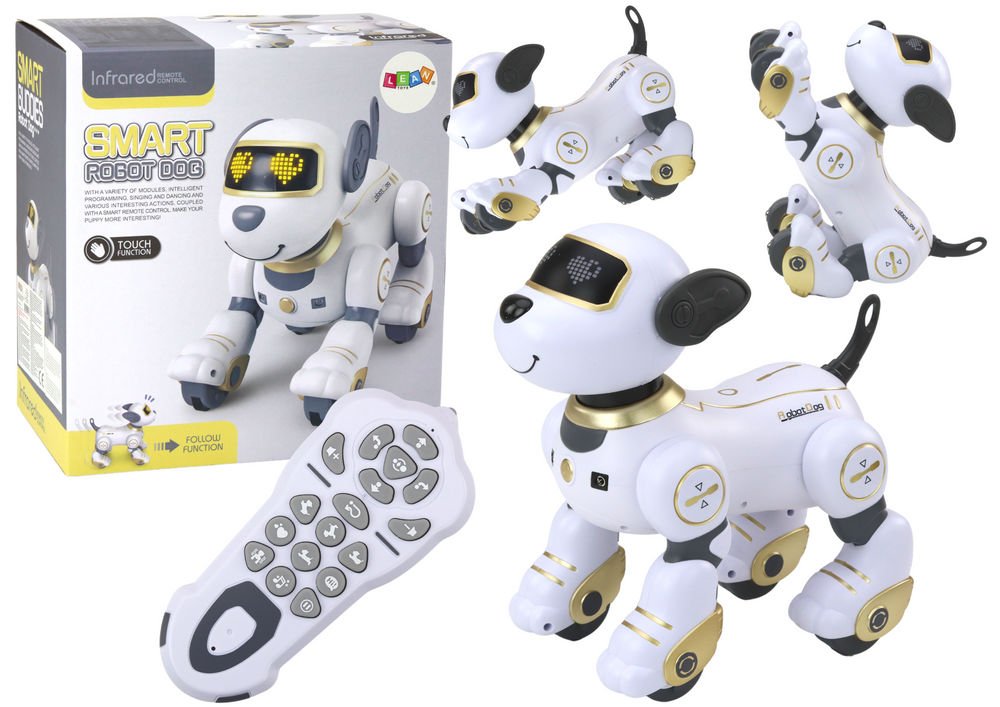 Interaktyvus nuotoliniu valdomas robotas–šuo Interaktyvus nuotoliniu valdomas robotas–šuo
