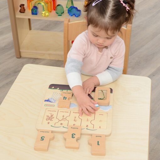 Masterkidz medinė edukacinė lenta – fasolės gyvenimo ciklas